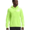 'The North Face' Men's Box NSE Pullover Hoodie - Sharp Green -Best Sportswear Store NF0A4761 HDD back 1024x1024@2x